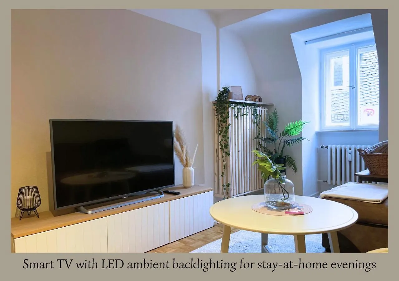 Urban Retreat - Central And Historic Wurzburg Apartment